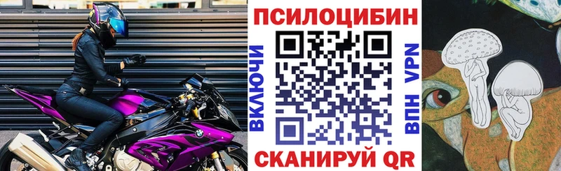 Псилоцибиновые грибы Magic Shrooms  где можно купить   Муром 
